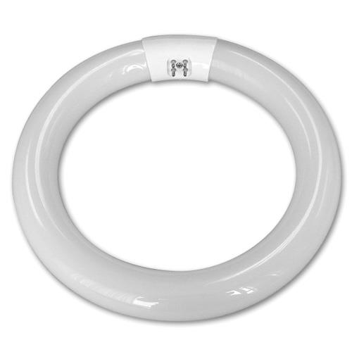 Circline Lamps & Replacement Bulbs in New Zealand