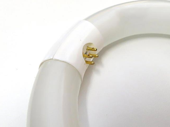 LAMP: G10Q T9 CIRCLINE 22W Daylight